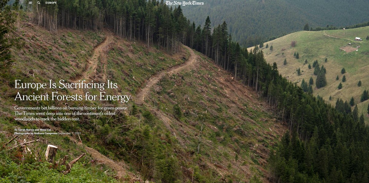 Fern_NGO's tweet image. EU decision makers are about to decide what to do about the Renewable Energy Directive (#RED) which has led Europe to sacrifice “its ancient forests for energy”. 

But the #BiomassIndustry is lobbying hard against better rules. 

Here is an overview

#thread