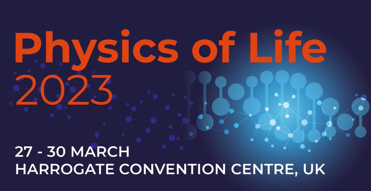 Peter Adams tweet media