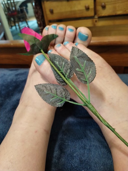 @GoddessNikFrost  Who likes my little chubby #toes? Id love to tell you all the ways i can take your<a class="tags" href="/tag/goddessnikfrost">@goddessnikfrost</a><a href="/tag/toes"class="tags">#toes</a><a href="/tag/footfetish"class="tags"><span>#footfetish</span></a><a href="/tag/feet"class="tags"><span>#feet</span></a><a href="/tag/money"class="tags"><span>#money</span></a><a href="/tag/paypig"class="tags"><span>#paypig</span></a>