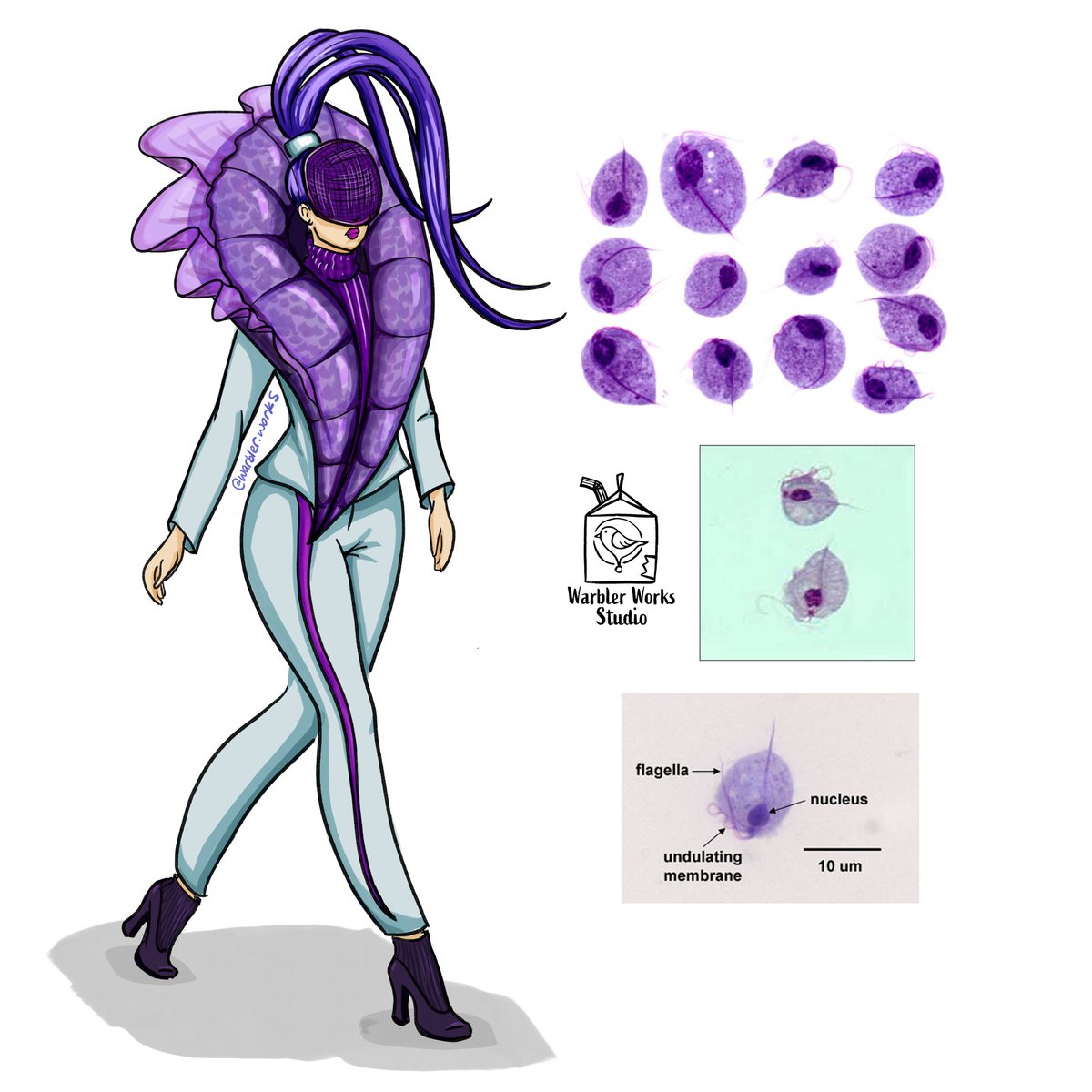 warbler_works's tweet photo. Lab, but make it fashion: Part 7. Trichomonas.
I wish my hair was as glorious and easy to control as hers!
#medicallaboratoryscientist #labtechproblems #labtech #lab4life #lablife #labtechlife #labvocate #loveforlabpros #laboratory #laboratorylife #lab #sciencefashion #labfashion https://t.co/r7sbbadur1