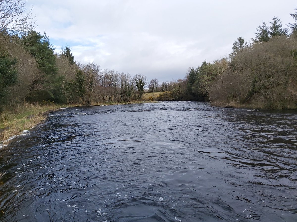 MKilleen86's tweet photo. Had a good weekend fishing for spring salmon on the river Drowes in county Leitrim.
#salmonfishing #fishingireland #springsalmon
#speycasting https://t.co/DhP07ZDTMd