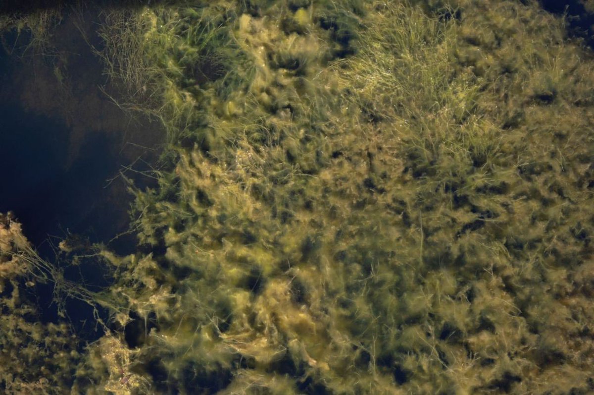 Join us for the preview of Still Moving's ‘In-tuition’, an exhibition of new work inspired by the Commons around Great Torrington.

Preview: 04 Apr 6:00pm
Exhibition: 04 Apr- 06 May 
The Plough Arts Center, Great Torrington, EX38 8HQ

More info stillmoving.org/news/in-tuitio…