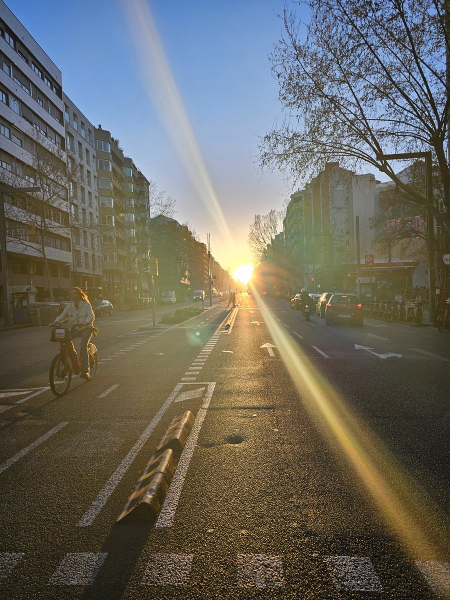 Tano de Roma tweet media