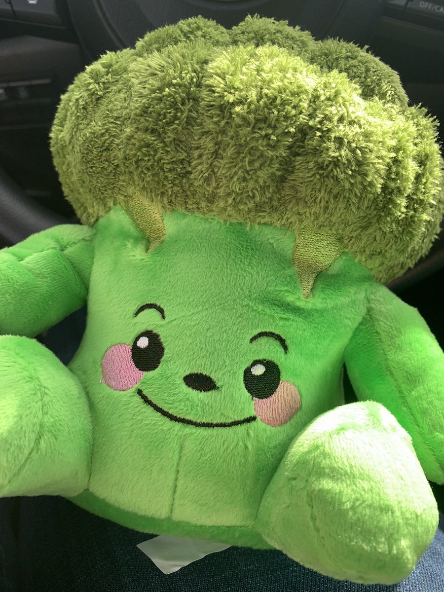 SakuraVilthuril's tweet photo. Arrived safe and sound 🥦🥰🥰🥦 thanks @whosthatname for figuring all this out!! #BetweenUs #BounPrem #BroccoliNation https://t.co/Z7cf7evA8p