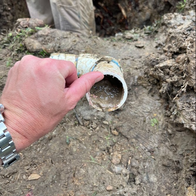 LucasFirminPool's tweet image. On today&apos;s episode of &quot;What Not To Do&quot; we bring you improperly installed pipe near a cypress tree. Ensuring you have a reputable company who will do the work right the first time will save you significant headaches in the future! #poolinstallation #pipeinstallation