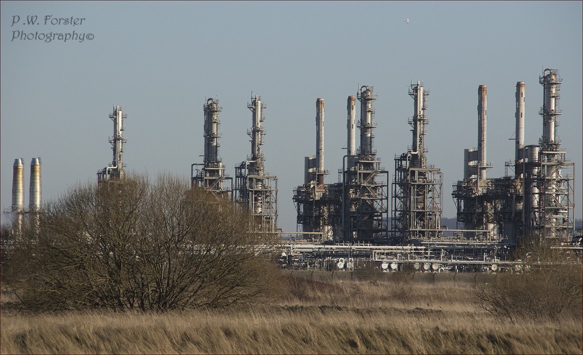 paul230156's tweet photo. Nature And Industry , former Blast Furnace Redcar from North of the Tees across Greatham Marsh 
@teesbirds1 @WhitbyNats @Natures_Voice @wildlife @ynuorg @clevelandbirds @teeswildlife @TeesCoast @DurhamBirdClub @TeesmouthNNR @RSPBSaltholme  #7dM11 https://t.co/ctxssVJwVv