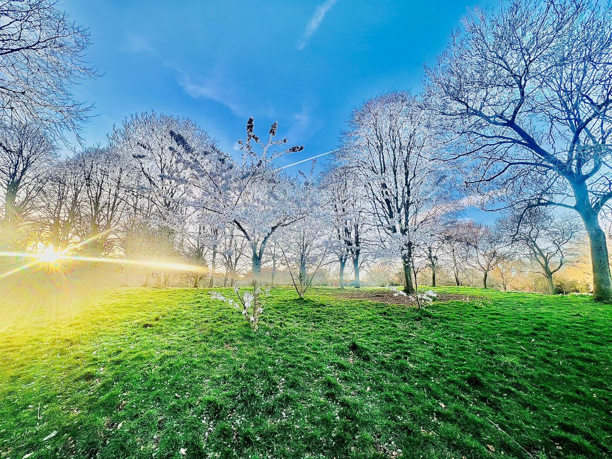 Mrs Barr tweet media