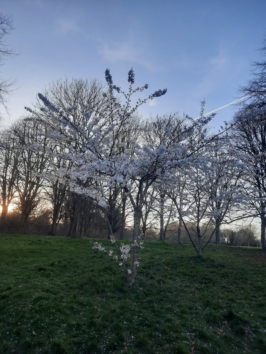 Mrs Barr tweet media