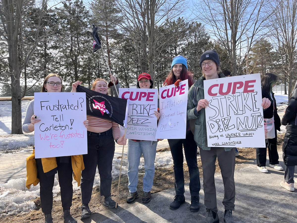 Caitlin Menzies tweet media