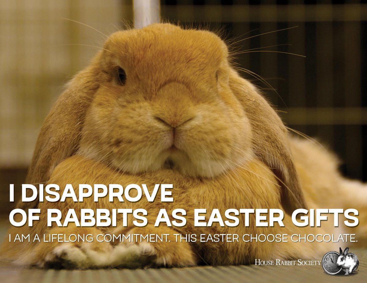 At House Rabbit Society, we believe rabbits are wonderful companions, but they’re not for everyone. If you’ve never lived with a rabbit, we encourage you to spend time learning more about them &amp; whether they’re a good fit for you &amp; your family. 💖🐇

Visit rabbit.org/faq