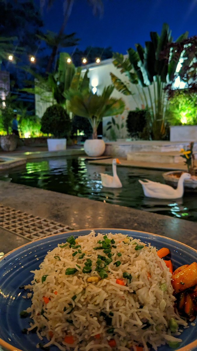 juhiagarwal744's tweet photo. ✨🥗 https://t.co/vKS1VZiAfV