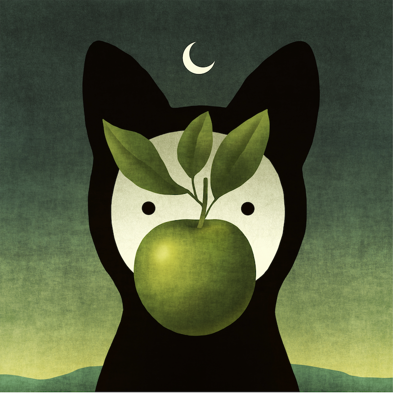 Toni Demuro tweet media