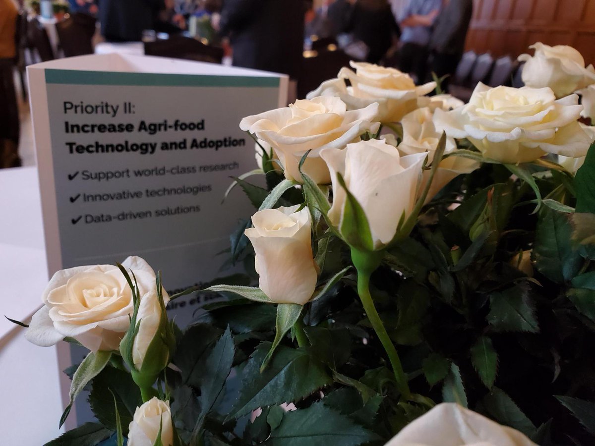 Research and Innovation tweet media