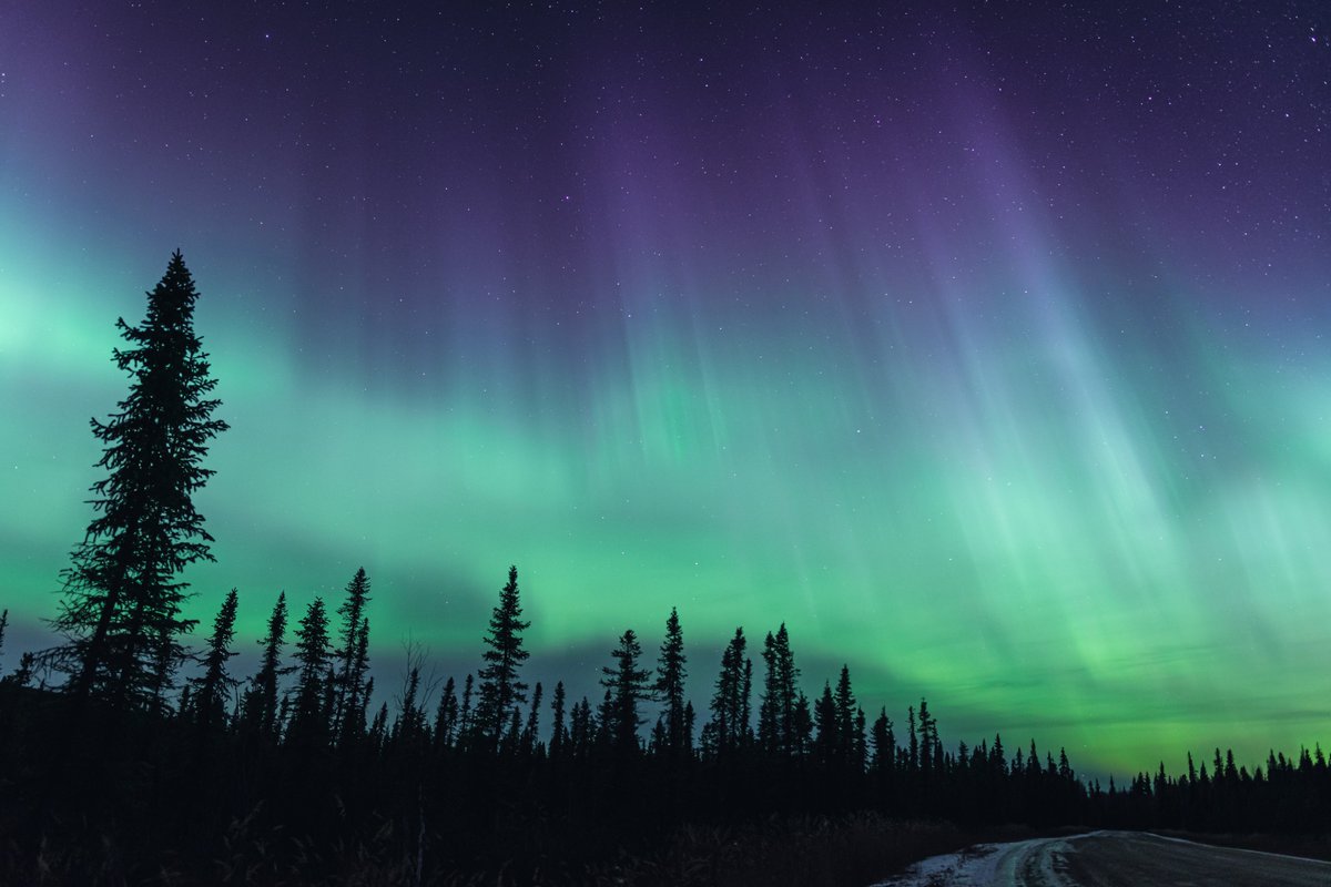 EBleicher's tweet photo. Four moments under the aurora 💫 https://t.co/1O9GIPkLxG