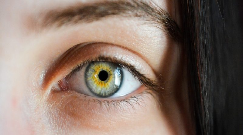 VTVcanal8's tweet photo. Estudio revela que los primeros signos de Alzheimer podrían aparecer en los ojos

#NiCorrupciónNiGuarimbas  

https://t.co/uL8GXot6sC https://t.co/WR5zAVHmhz