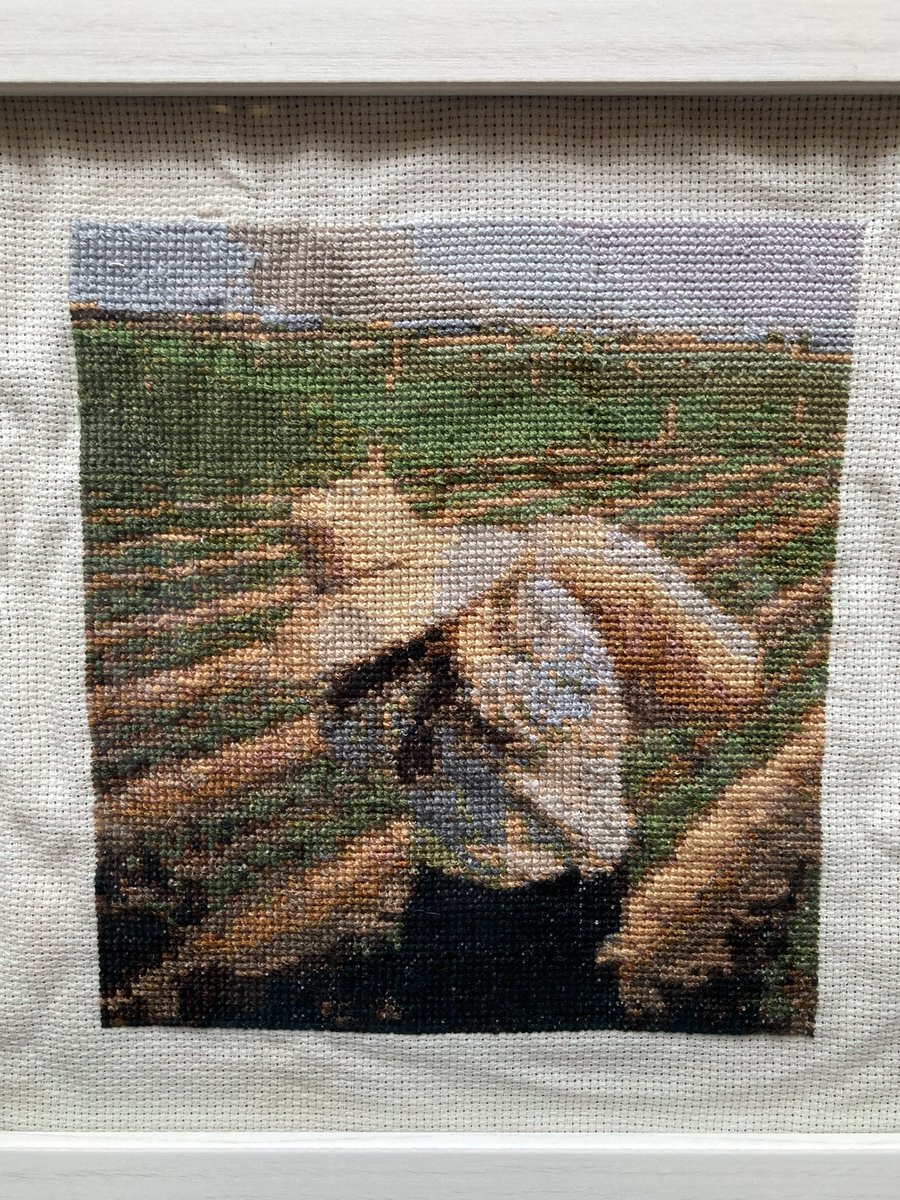 Brenda Ramos tweet media