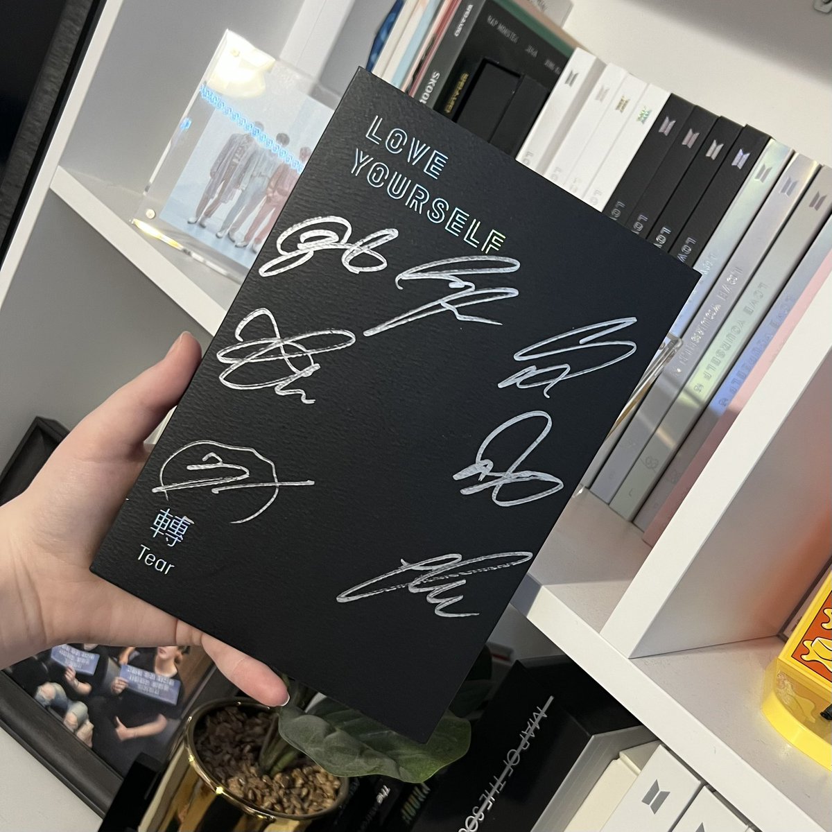 tgkvoid's tweet image. guys. she’s beautiful.