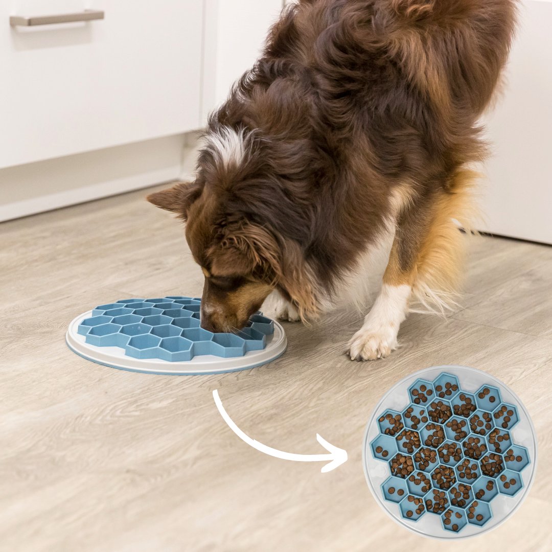 Some of our pets get a little bit too excited about meal time 😅 When animals eat too quickly, they risk having digestion issues or other health problems. Our slow feeders are perfect for pacing your dogs’ mealtimes! #slowfeeder #slowfeederbowl #trixiepetproducts #trixieusa