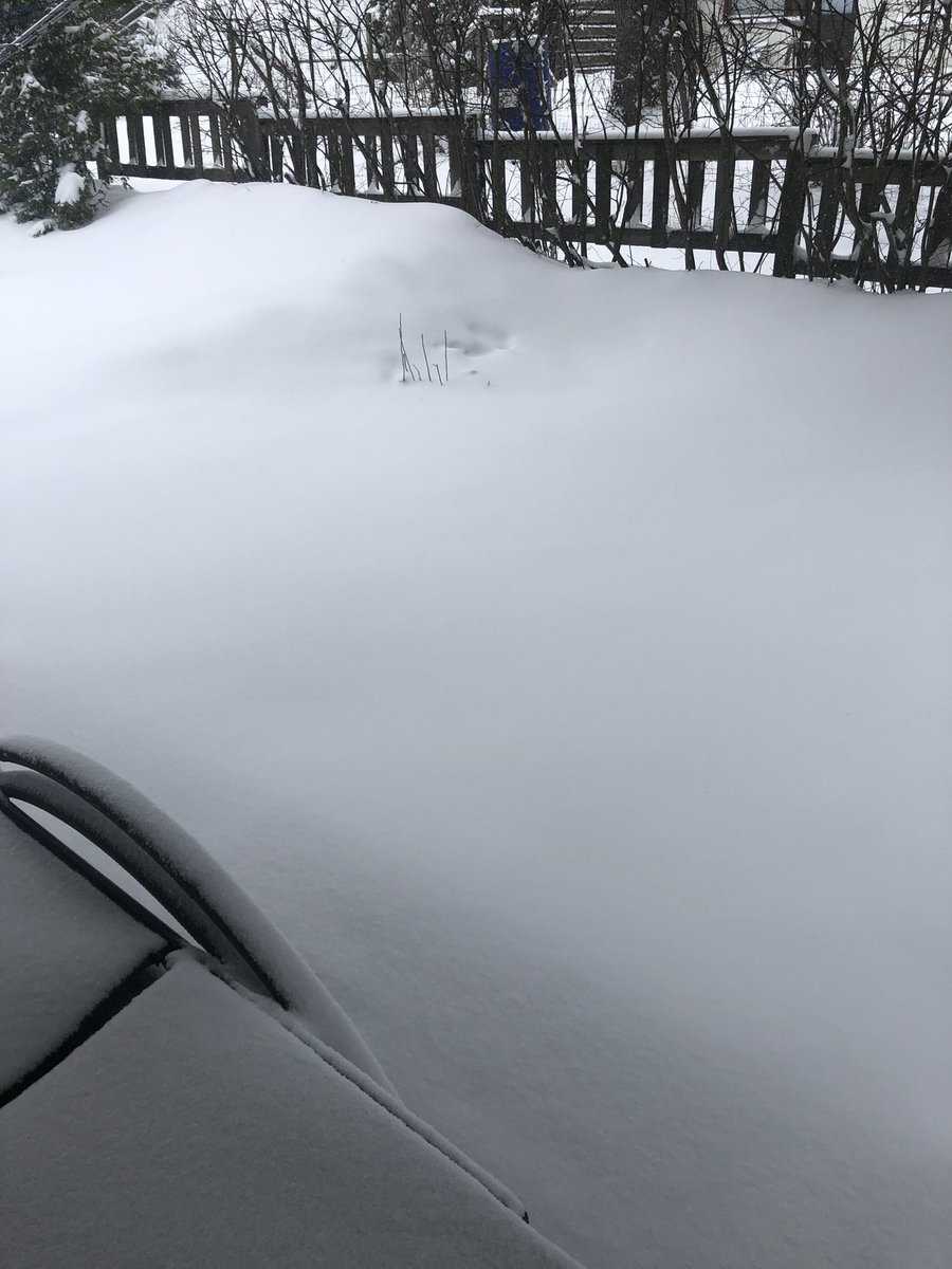 mannanordman's tweet photo. @MattilaKarita Lunta tulee vielä koko ajan lisää❄️💨❄️ https://t.co/6NbL5bmdKj