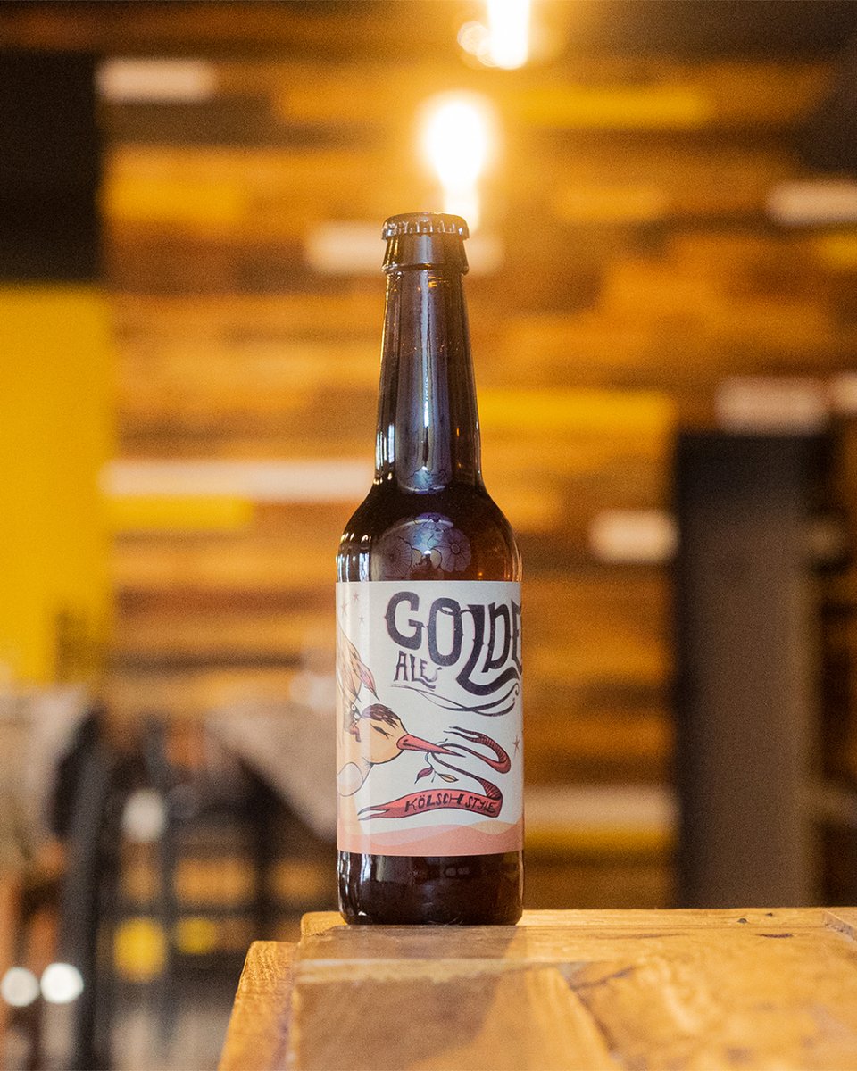 ¡Una rubia imprescindible para nosotros!🤩👌🏼Elaborada al estilo tradicional de Colonia #cerveza seca y refrescante ¿Aún no la has probado? Pide tu primera caja y cuéntanos tu experiencia👉🏼 cervezas69.es 
#craftbeer #albacete #cervezaartesanal #beertime #beer #cervezas69