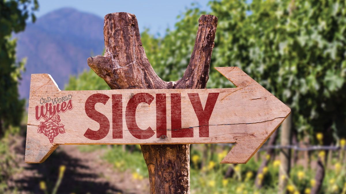 🍇 OLD WORLD WINES: Last Italian Class, this Wednesday! Be an Italian wine guru, taste and learn about Sicilian wines. Call us to RSVP or sign up at bit.ly/3EJ4zch

#oldworldwines #sicily #winetasting #wineeducation #wineevent #norwoodpark #chicago #italianwines