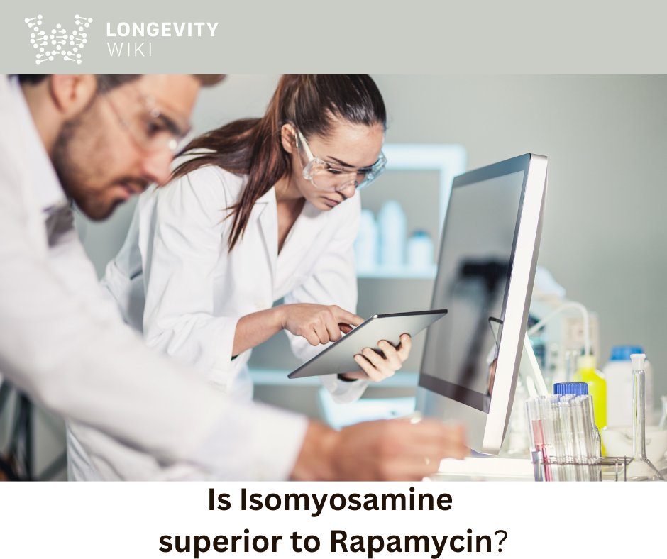 #Rapamycin is the gold standard longevity drug, but #Isomyosamine has markedly outperformed rapamycin in a mouse longevity study! Can these results be replicated in other models? Learn more at: en.longevitywiki.org/wiki/Isomyosam… #longevity #longevitywiki #aging #lifespan