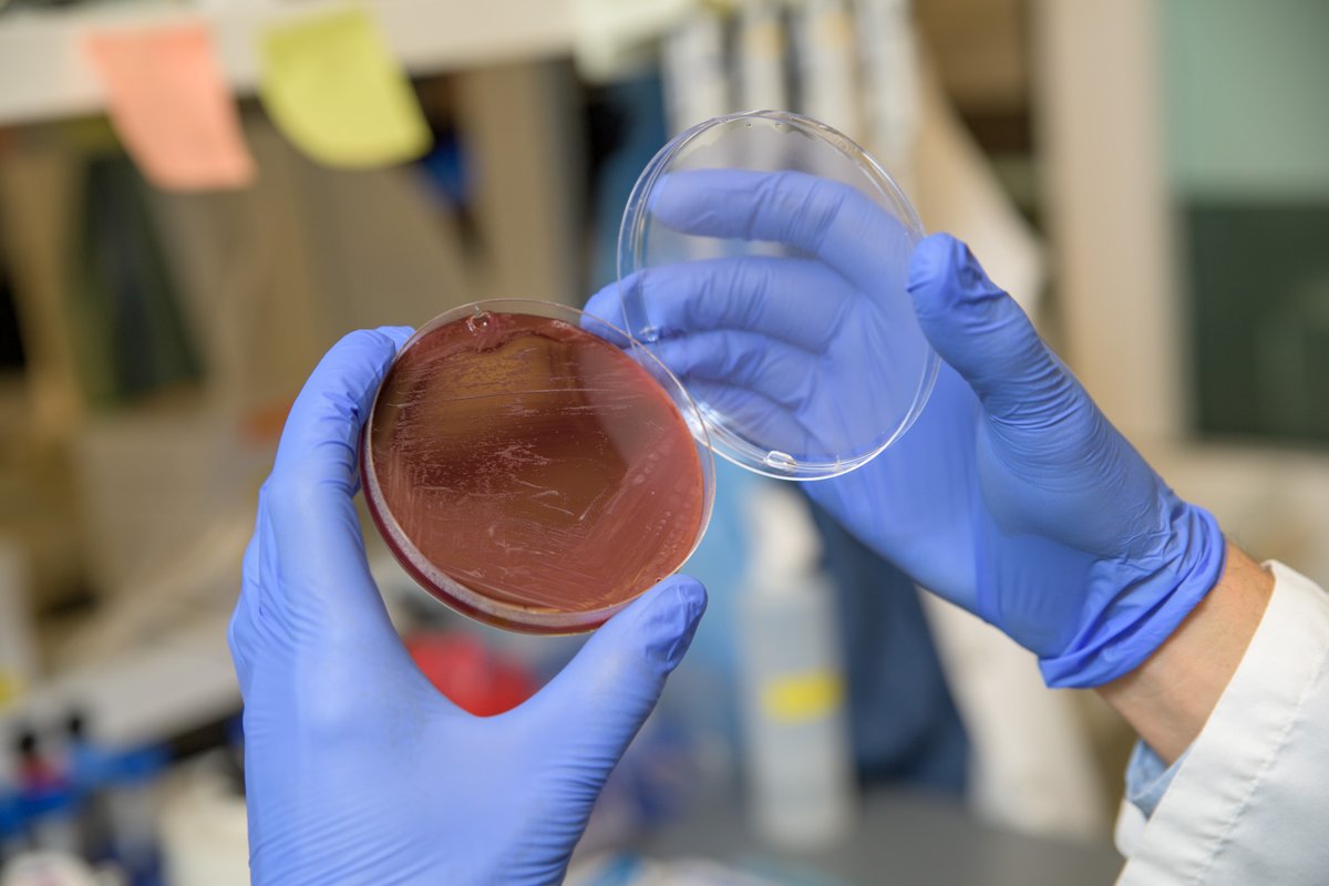 ABRC Research Profile: Dr. Paweł Łaniewski received a grant to research the impact of Sneathia on women's health. He is one of eight researchers to be awarded a grant by the Arizona Department of Health Services.

Read more on his research here: bit.ly/40lljPC