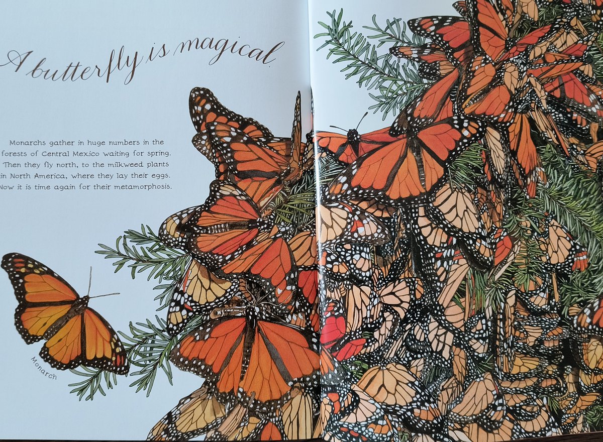 Dianna Hutts Aston tweet media