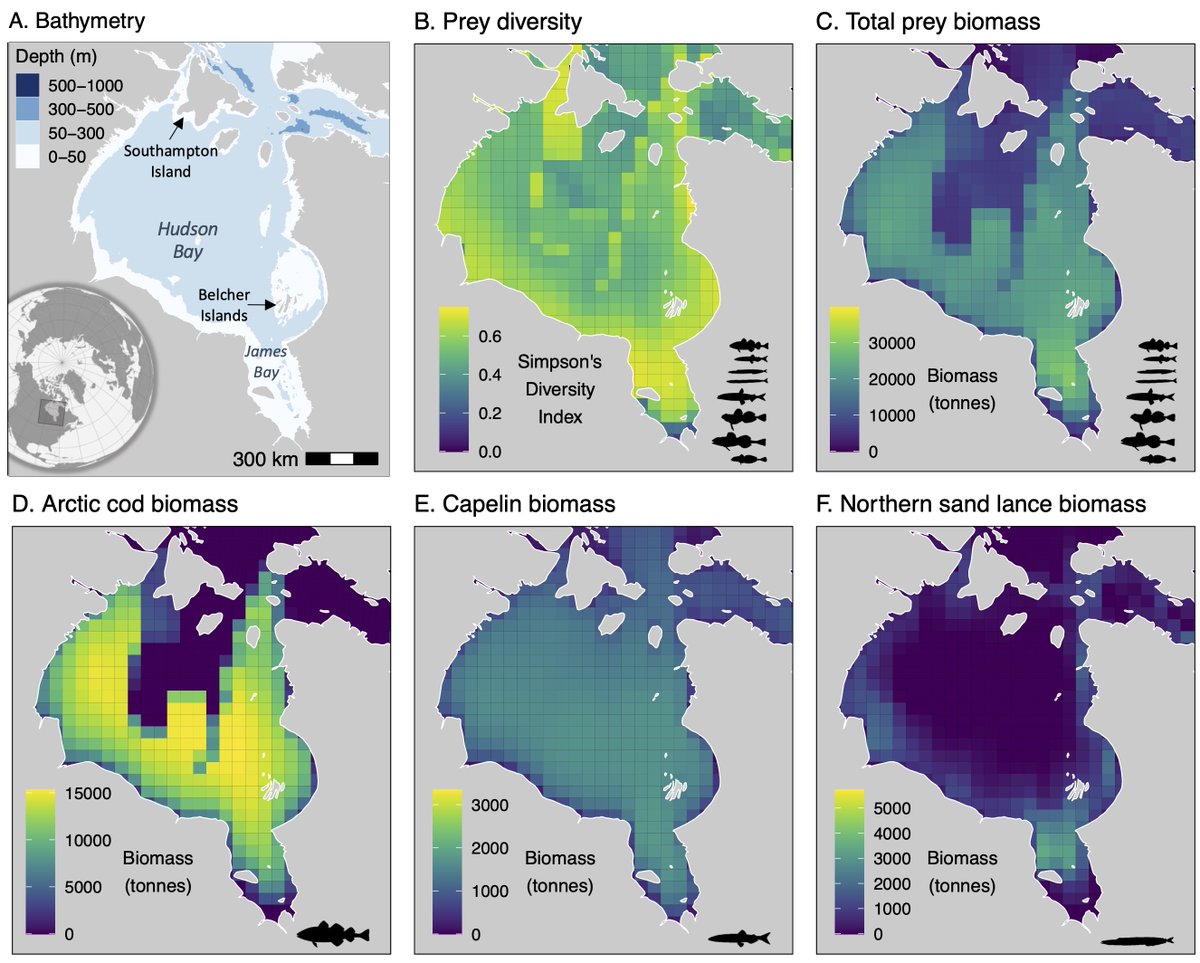 Katie Florko tweet media