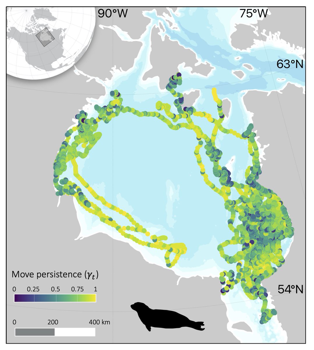 Katie Florko tweet media