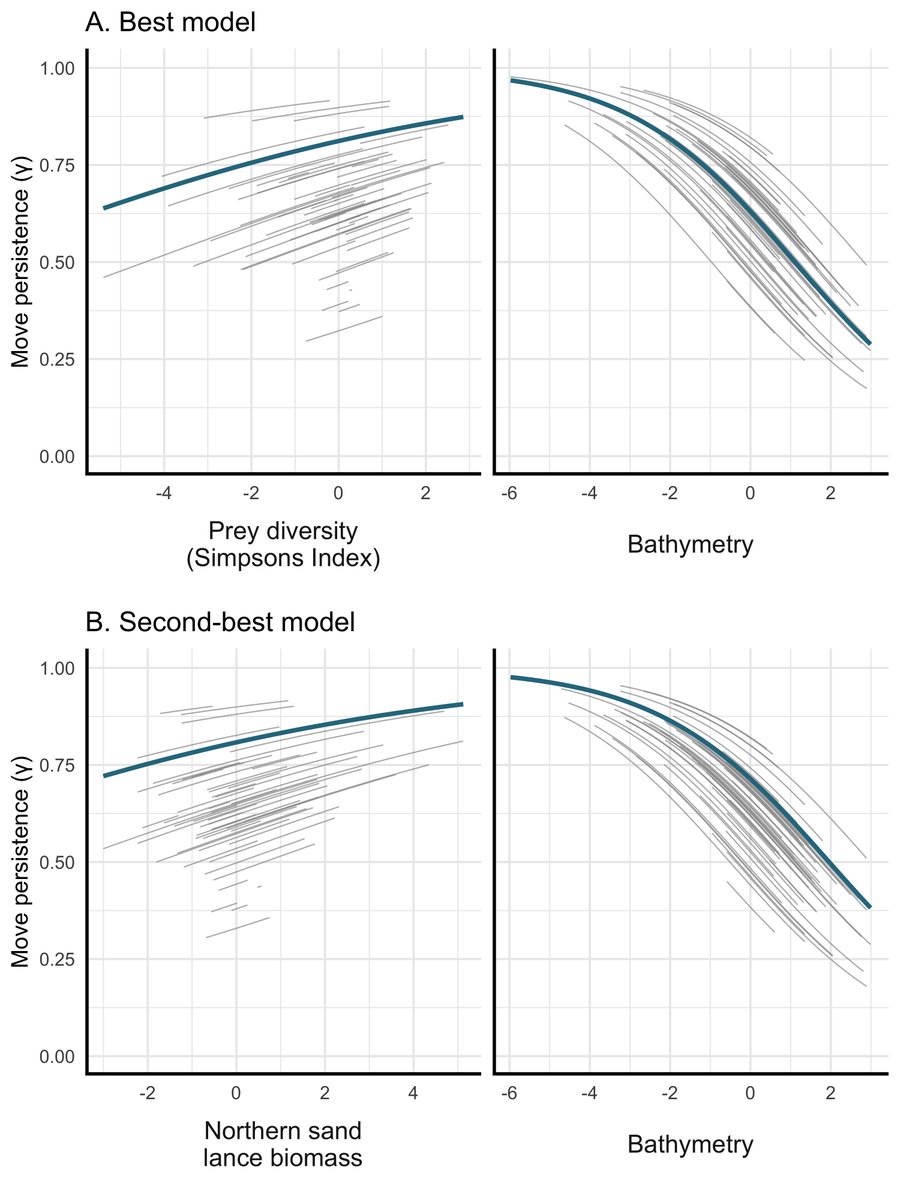 Katie Florko tweet media