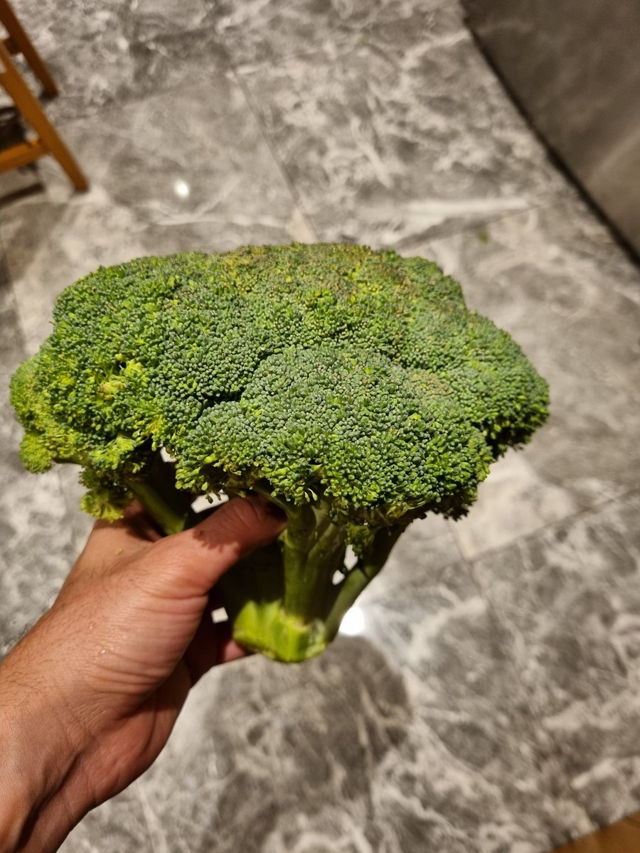 Yasalaştırılmaya çalışılan şey şunu söylüyor, hastama yazdığım ilaç yan etki yapar ya da ameliyat sonrası geçici de olsa istenmeyen bir sıkıntı gelişirse meslekten men edilebiliyorum. Bundan sonra vereceğim max prostat tedavim ektedir. #663madde23KabulEdilemez #SağlıkGaspıMadde23