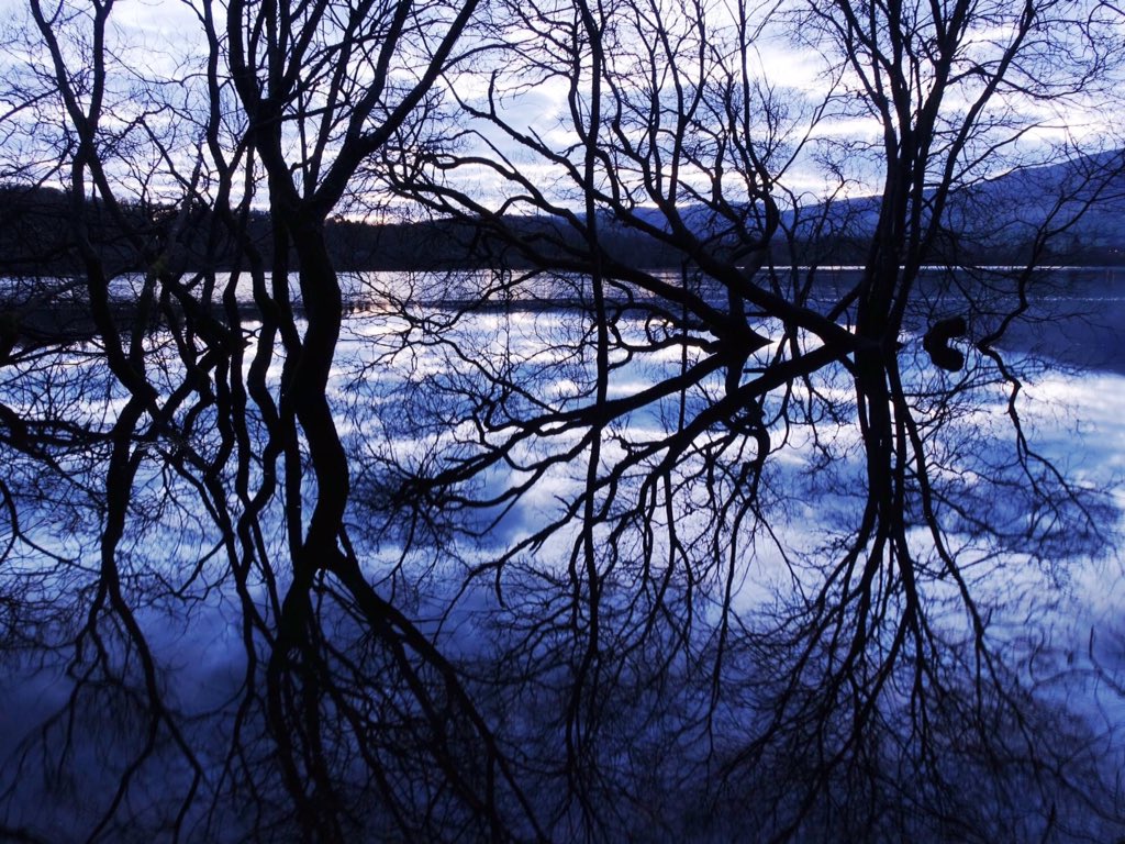 LakelandCamera's tweet photo. Bassenthwaite Lake at dawn this morning. Lake levels are high after wet weather so lakeshore trees are in the water. https://t.co/1OeWw6mQdZ