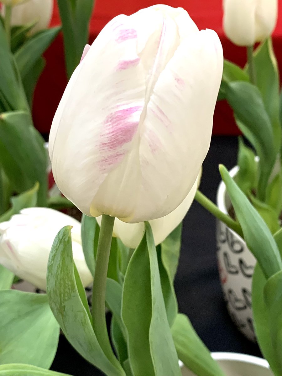 rick_redd's tweet image. How long will it take for people to stop selling guns in this country ? Too many guns in America. Appeal gun rights. In