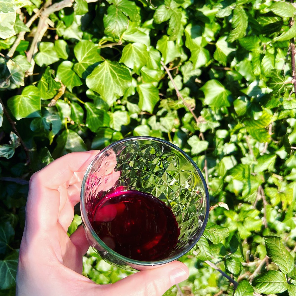 Bára (@barboratde) on Twitter photo <a href="/Olia_Hercules/">Olia Hercules 🇺🇦🇬🇧</a>’s beetroot kvas.
Such a stunning colour!
#cookforukraine #standwithukraine <a href="/Olia_Hercules/">Olia Hercules 🇺🇦🇬🇧</a>’s beetroot kvas.
Such a stunning colour!
#cookforukraine #standwithukraine