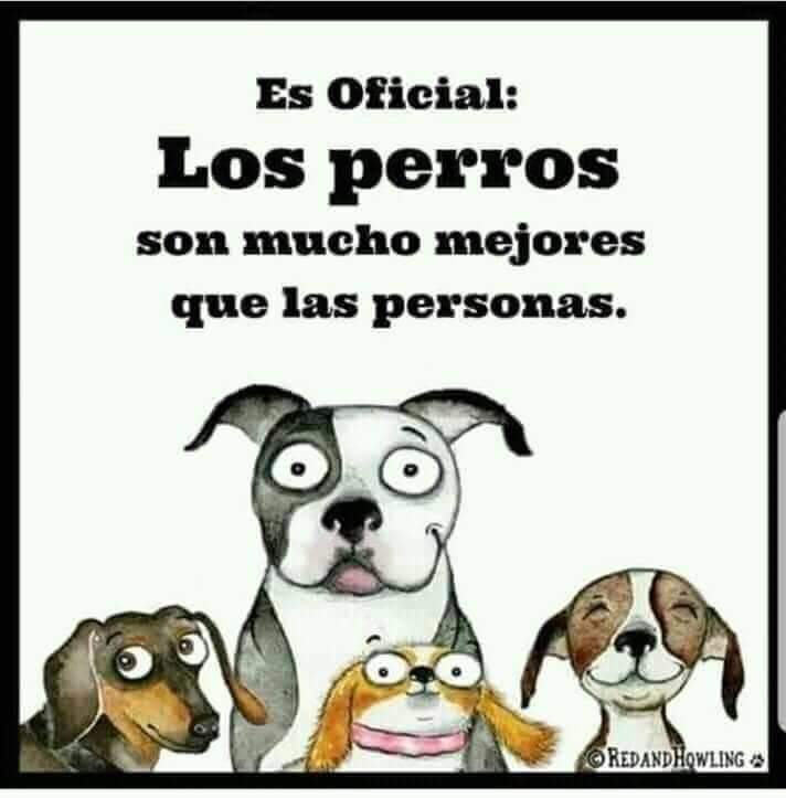 Sabueson's tweet photo. Lo creo https://t.co/HFFPv2skOu