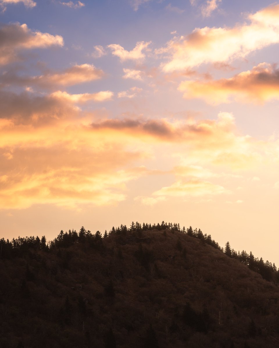 awaiting sunrise in the Blue Ridge Mountains 🌄