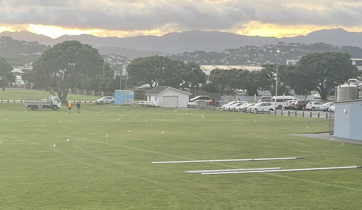 Posts going up- Rugby ready Poneke 🖤❤️