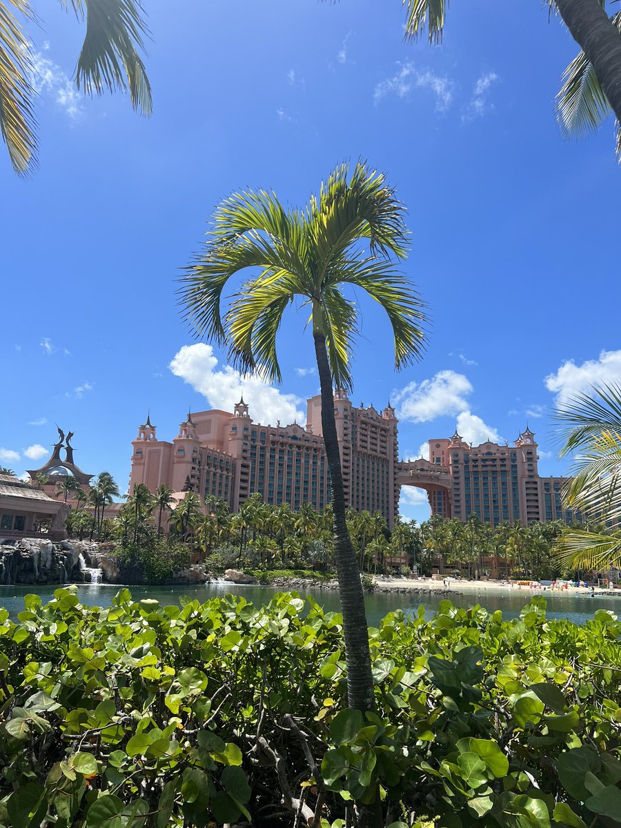 Smoking Rhino 🐐 tweet media