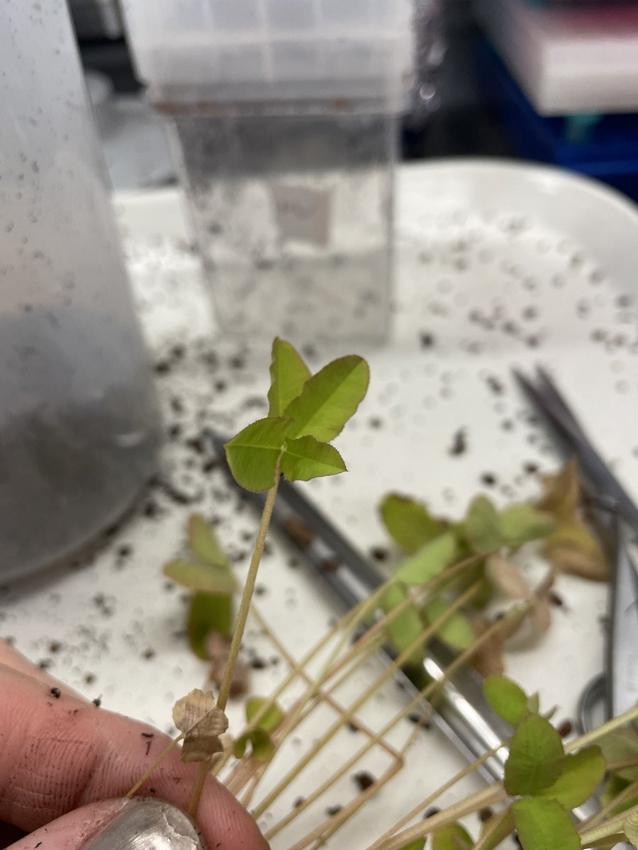 Dr. John McMullen (they/he) 🏳️‍🌈 tweet media