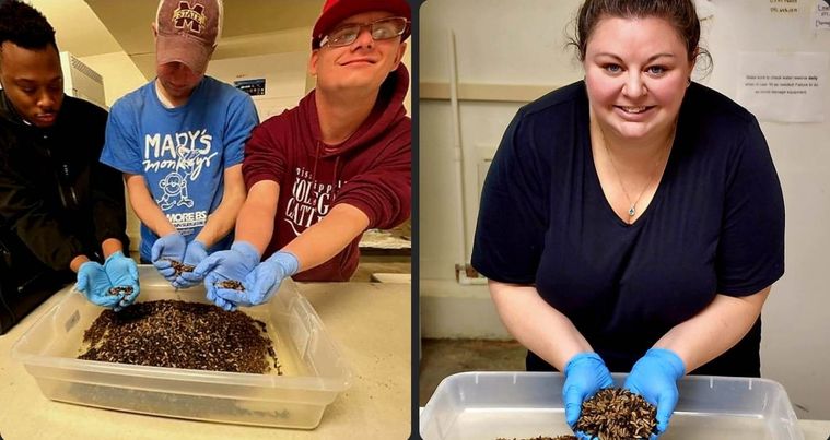 JordanSmink's tweet photo. We're not afraid to get our hands dirty! Our students are learning the value of collaboration between institutions. Thank you @FliesFacility for your Texas hospitality and a fabulous laboratory tour!  #MSUACCESS #MSU #TAMU #CEIF https://t.co/Yv9NHvNGOS