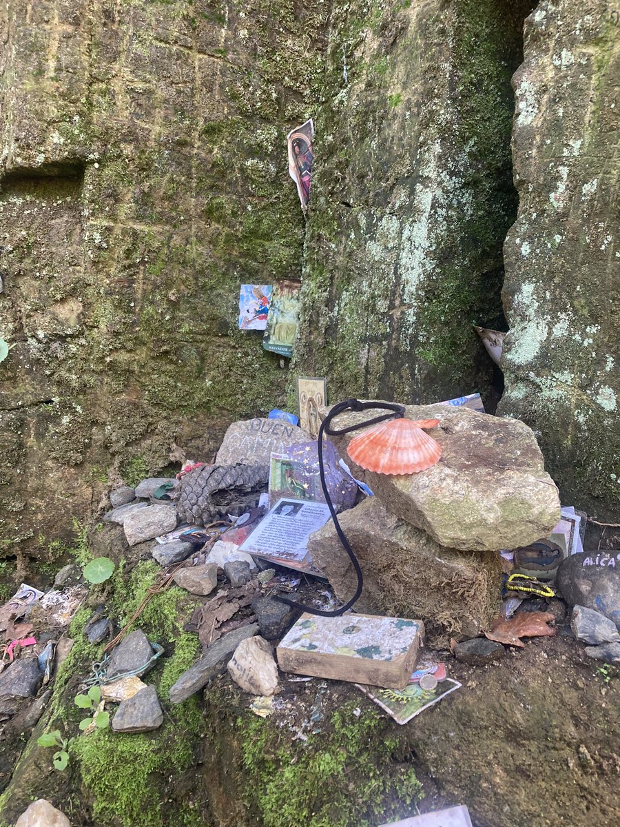 SCaherly's tweet photo. Day 2: Arzua ➡️ Pedrouzo - what an amazing experience!  20km full of culture, scenery &amp; inspiring pilgrims. #BuenCamino!  @ciaranreade @mac_skelly_stj @ceist1 @GaisceAward @stjosephsrush https://t.co/XYCoH5YuAD