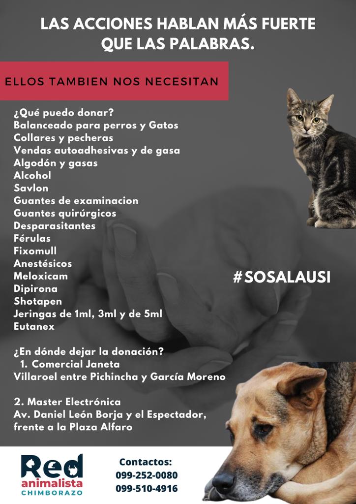 #SOSAlausi 
Ayudemos  los peluditos