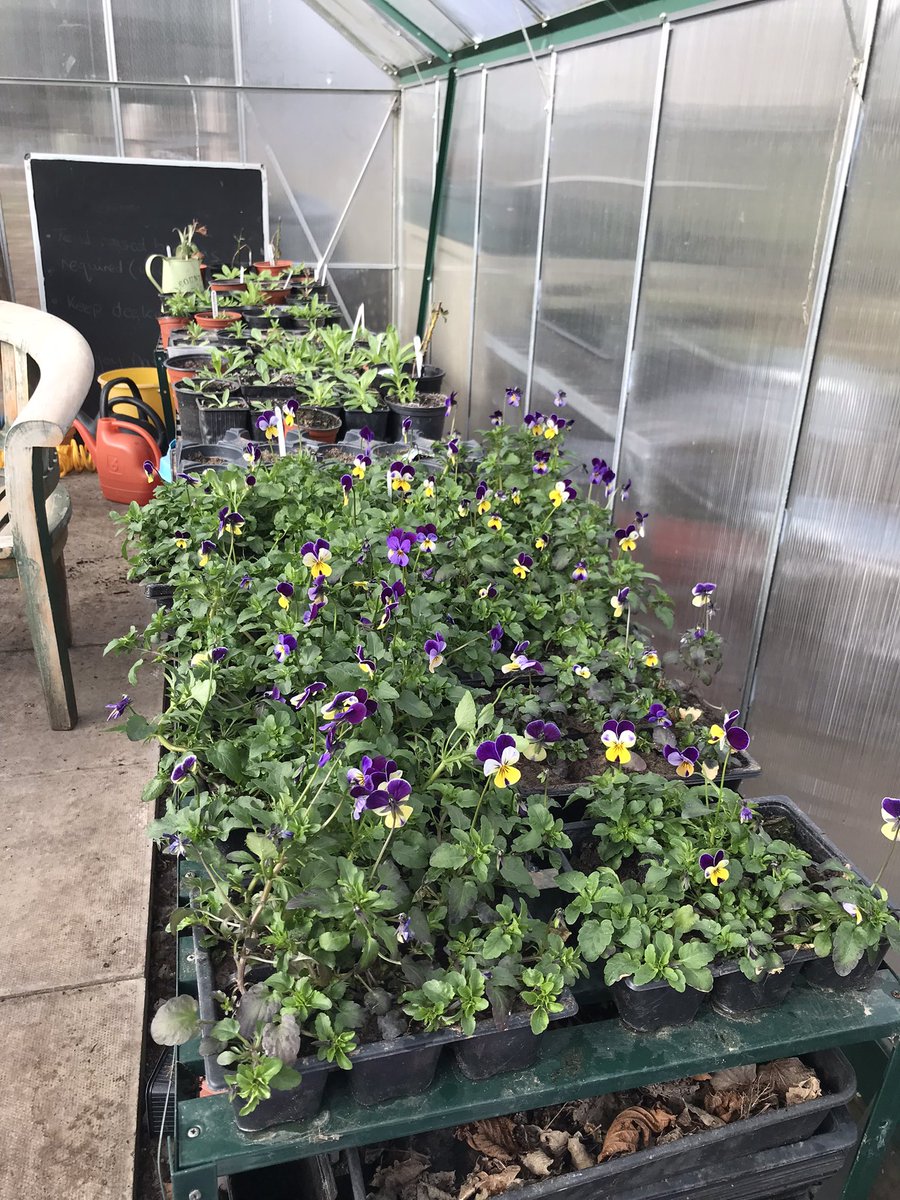 space to grow mental health growing project tweet media