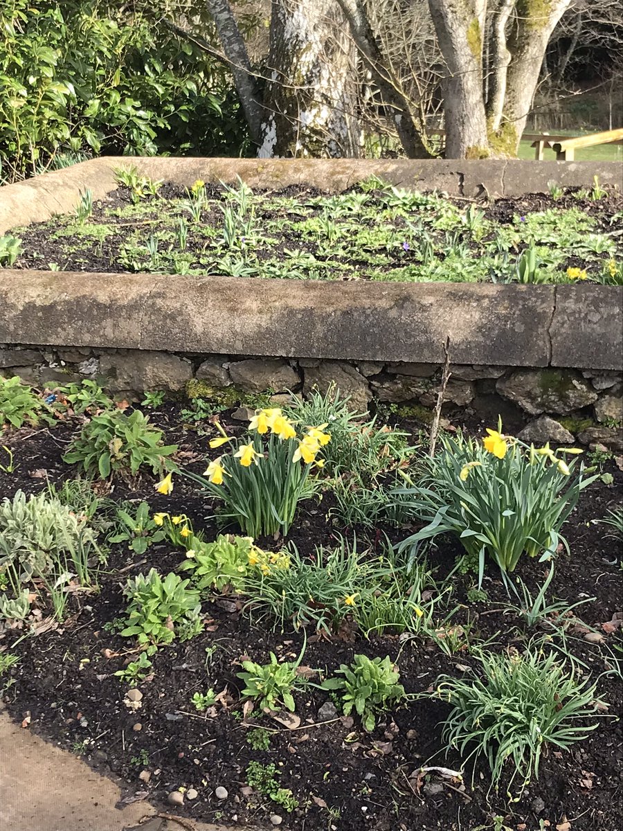 space to grow mental health growing project tweet media