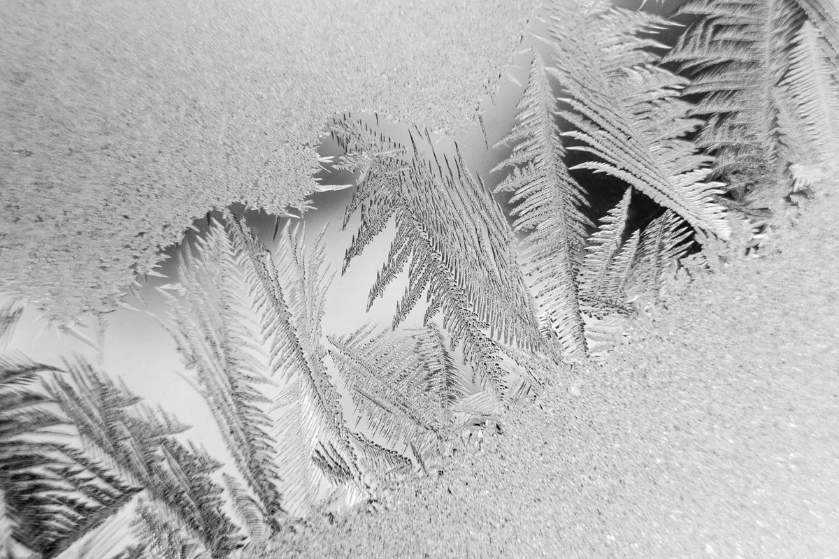 TheShapeShire's tweet photo. #Crystal #trees
Happy #shapehunting!
#randomshapes #shapes #geometry #shapehunt #homeschool #homeschoolers #homeschooling #homeschoolmom #childexplorers #exploring #nature #shapeshire #familylearning
#successfullearners #frozen https://t.co/qI4YJlule1