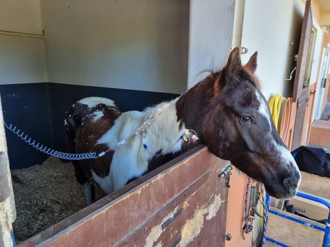 🙏🏻❤️ https://t.co/Uu0HALRZsY<a href="/tag/confinementjour26"class="tags"><span>#confinementjour26</span></a>