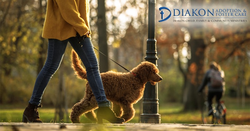 Today is National “Take a Walk in the Park” Day! Pennsylvania has many beautiful state parks where you can enjoy the beautiful spring weather: stateparks.com/pennsylvania_p…

But if you can’t make it out to one of those, a stroll through a local park could be just as lovely! 🌞