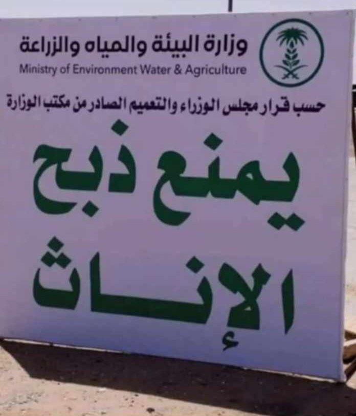 Omg200ml's tweet photo. الانثى ذا زمنها حتى في الحيوانات 
الذكر يذبح ويسلخ 😂😂 https://t.co/zXUyPbfkSQ