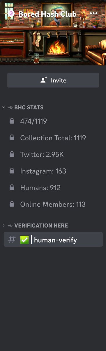 maximusdemon1's tweet photo. @BoredHashClub @hedera I'm a holder of bored hash club but when I tried to verify my account in discord other channels are not showing up https://t.co/i96CEVppdV